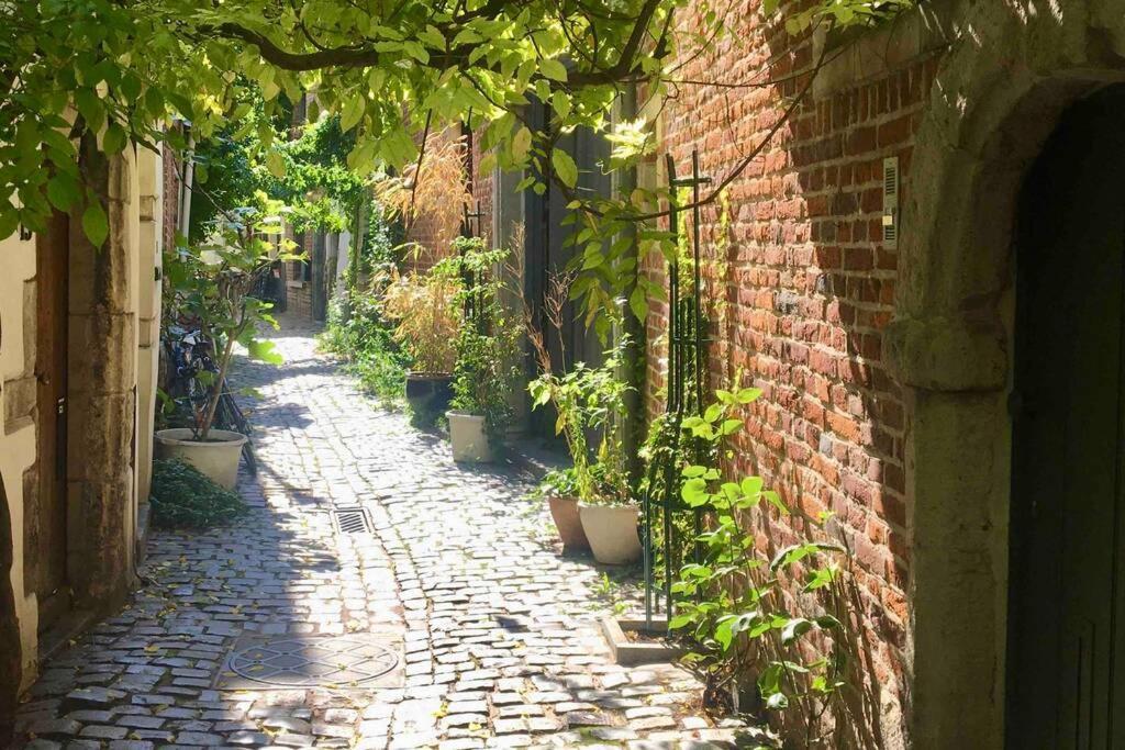 En Plein Coeur De Bruxelles. Superbe Duplex.A Voir! Exterior foto